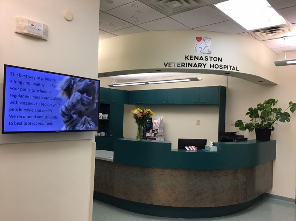 Kenaston Veterinary Hospital | 110-2355 McGillivray Blvd, Winnipeg, MB R3Y 0A1, Canada | Phone: (204) 219-6607