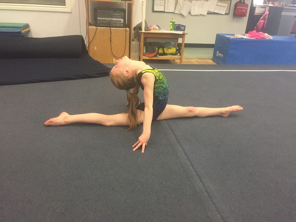 Dreams Gymnastics Academy | 9527 49 St NW, Edmonton, AB T6B 2L8, Canada | Phone: (780) 440-0014