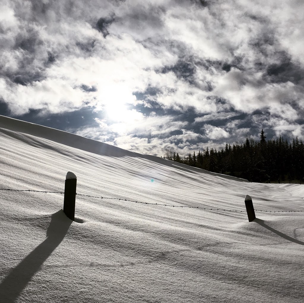 McCulloch Station Regional Park | 1N0, Kettle Valley Rail Trail, Naramata, BC V0H 1N0, Canada | Phone: (250) 763-4918