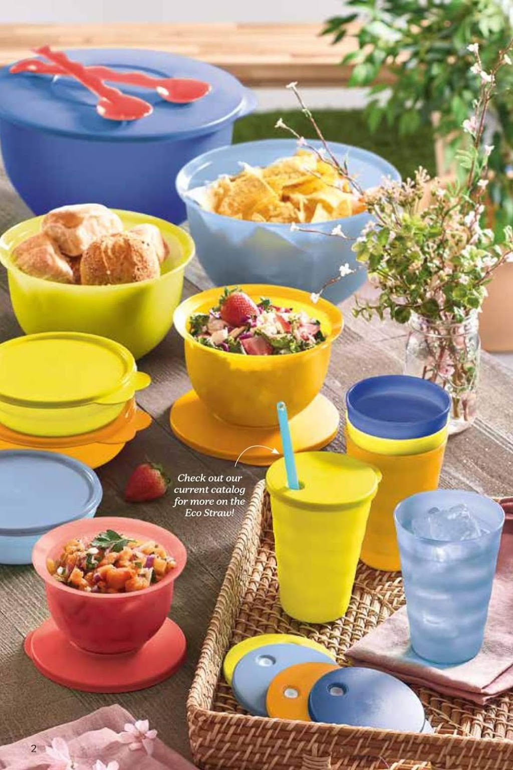 Tupperware with Chantal McCarthy | 379 Peach Tree Ln, Ottawa, ON K1K 2R7, Canada | Phone: (613) 402-1296