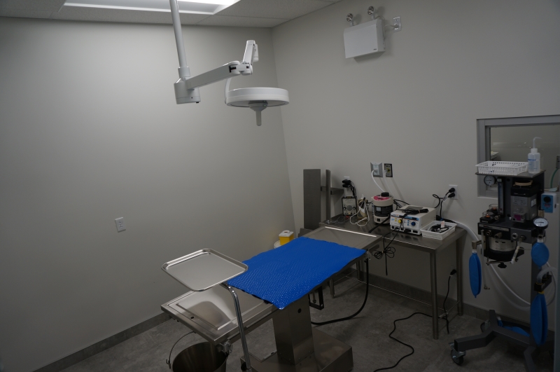 Clinique Vétérinaire Saint-Canut | 14000 Rue Saint-Simon, Mirabel, QC J7N 1P4, Canada | Phone: (450) 436-2043