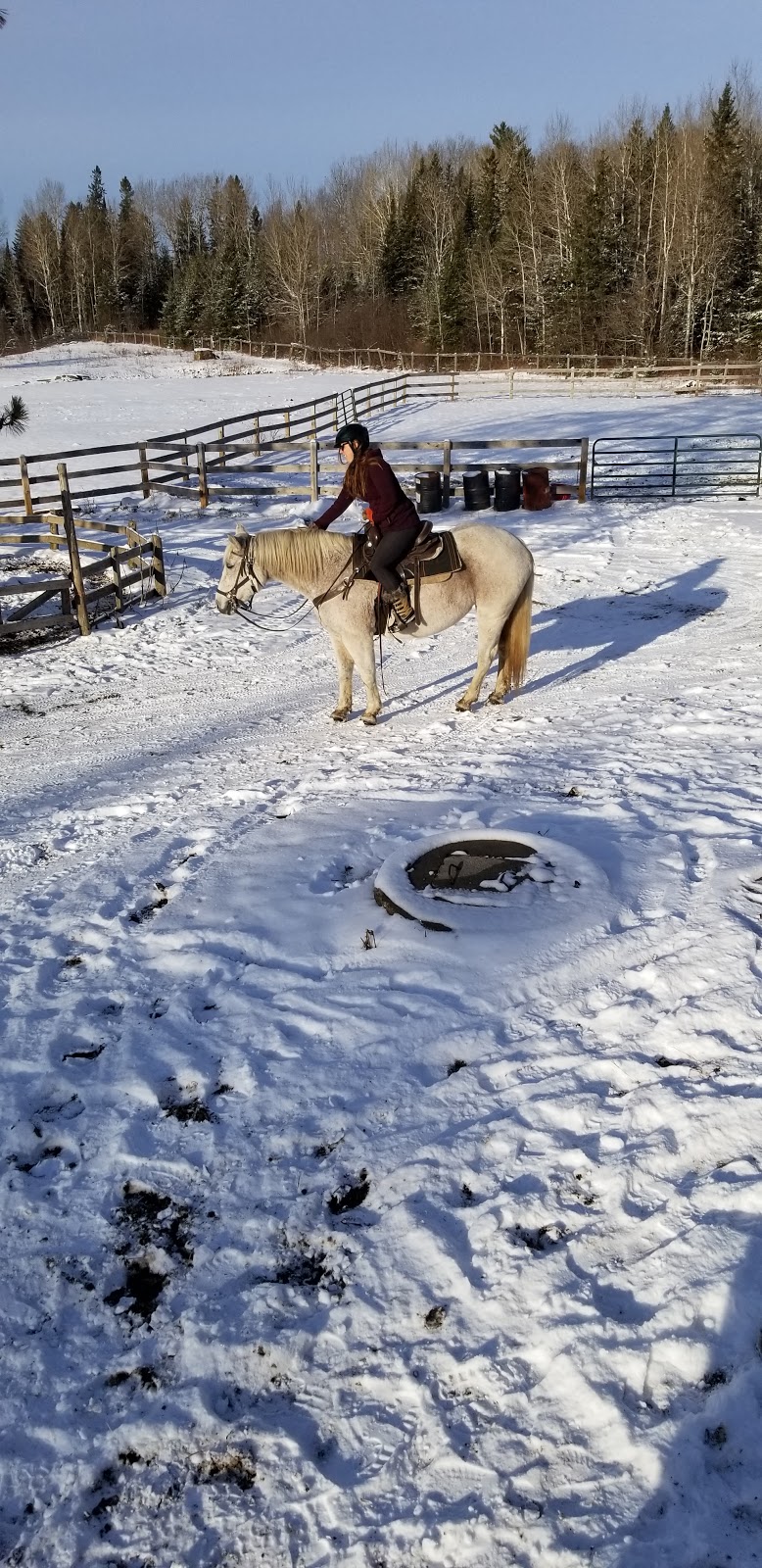 Adventure Stables | 303 Hay Creek Rd, Whitney, ON K0J 2M0, Canada | Phone: (613) 637-1179