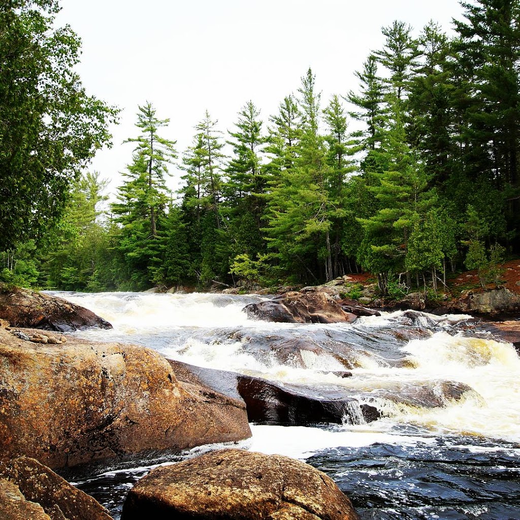 Mastigouche Wildlife Sanctuary | Saint-Alexis-des-Monts, QC J0K 1V0, Canada