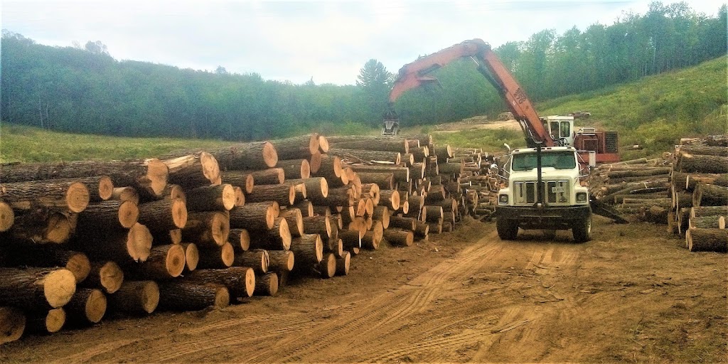 York River Forestry Services | 74 York River Dr, Bancroft, ON K0L 1C0, Canada | Phone: (613) 334-9893