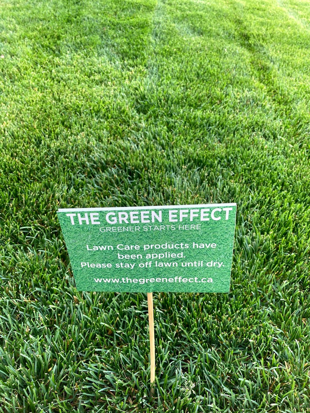 The Green Effect | 105 Somerside Green SW, Calgary, AB T2Y 3G6, Canada | Phone: (403) 863-0130