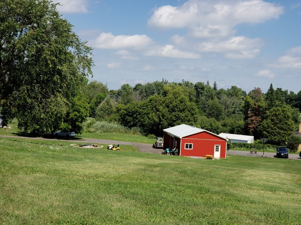 Campbells Cross Farm (Sunflowers Open August 2021) | 3634 King St, Inglewood, ON L7C 0R5, Canada | Phone: (416) 294-7642