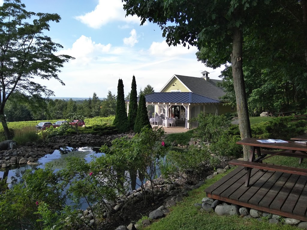 Vignoble Les Petits Cailloux | 625 Rang de la Montagne, Saint-Paul-dAbbotsford, QC J0E 1A0, Canada | Phone: (450) 379-9368