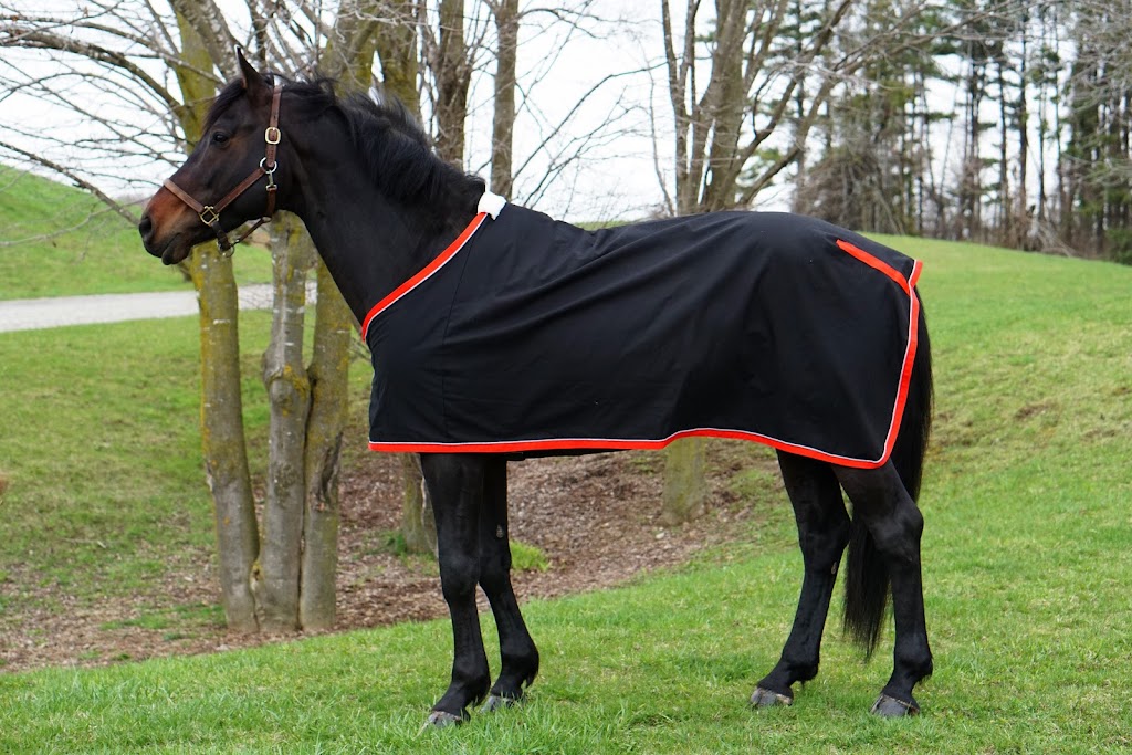 Equine Wear | 218 Dixie Crescent, Waterloo, ON N2J 3L1, Canada | Phone: (519) 505-7484