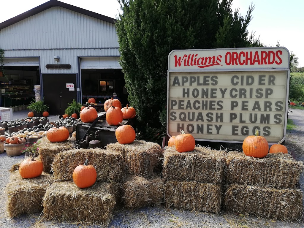 Fonthill Family Fruit Farm | 1724 Pelham St, Fonthill, ON L0S 1E6, Canada | Phone: (905) 892-5811