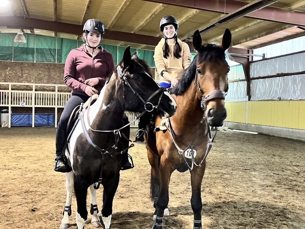 Equine Haven Recovery Care and Equestrian Centre Ltd | 215003, Range Rd 264, Carseland, AB T0J 0M0, Canada | Phone: (403) 973-9693