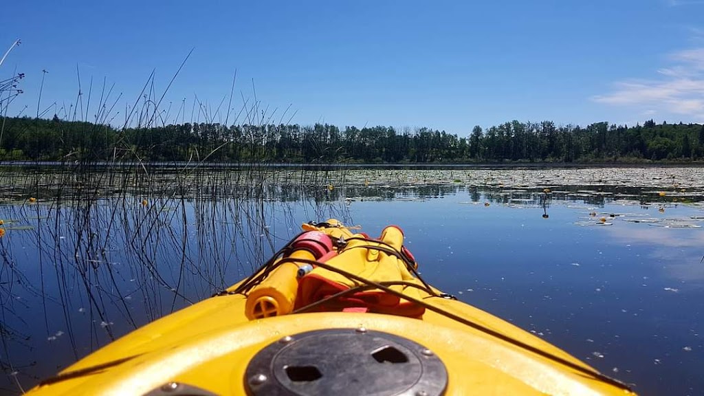 County Waters Kayaking | 5304 48 St, Clive, AB T0C 0Y0, Canada | Phone: (780) 605-3688