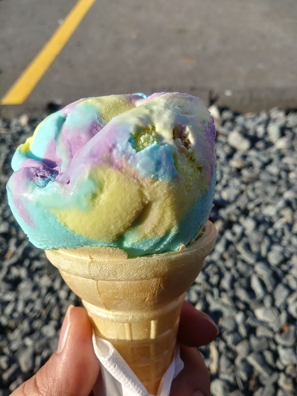 Crocodile Ice Cream | 10 Cumberland Dr, Dartmouth, NS B2V 2C7, Canada | Phone: (902) 817-0466