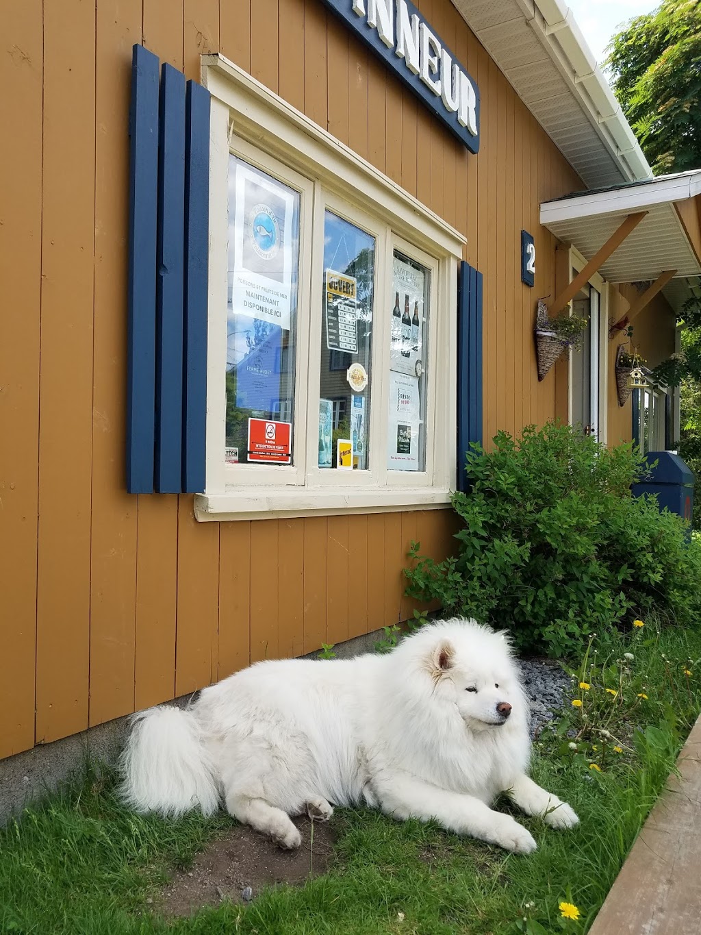 Dépanneur Du Quai | 3523 Chemin Royal, Saint-François-de-lÎle-dOrléans, QC G0A 3S0, Canada | Phone: (418) 203-0833