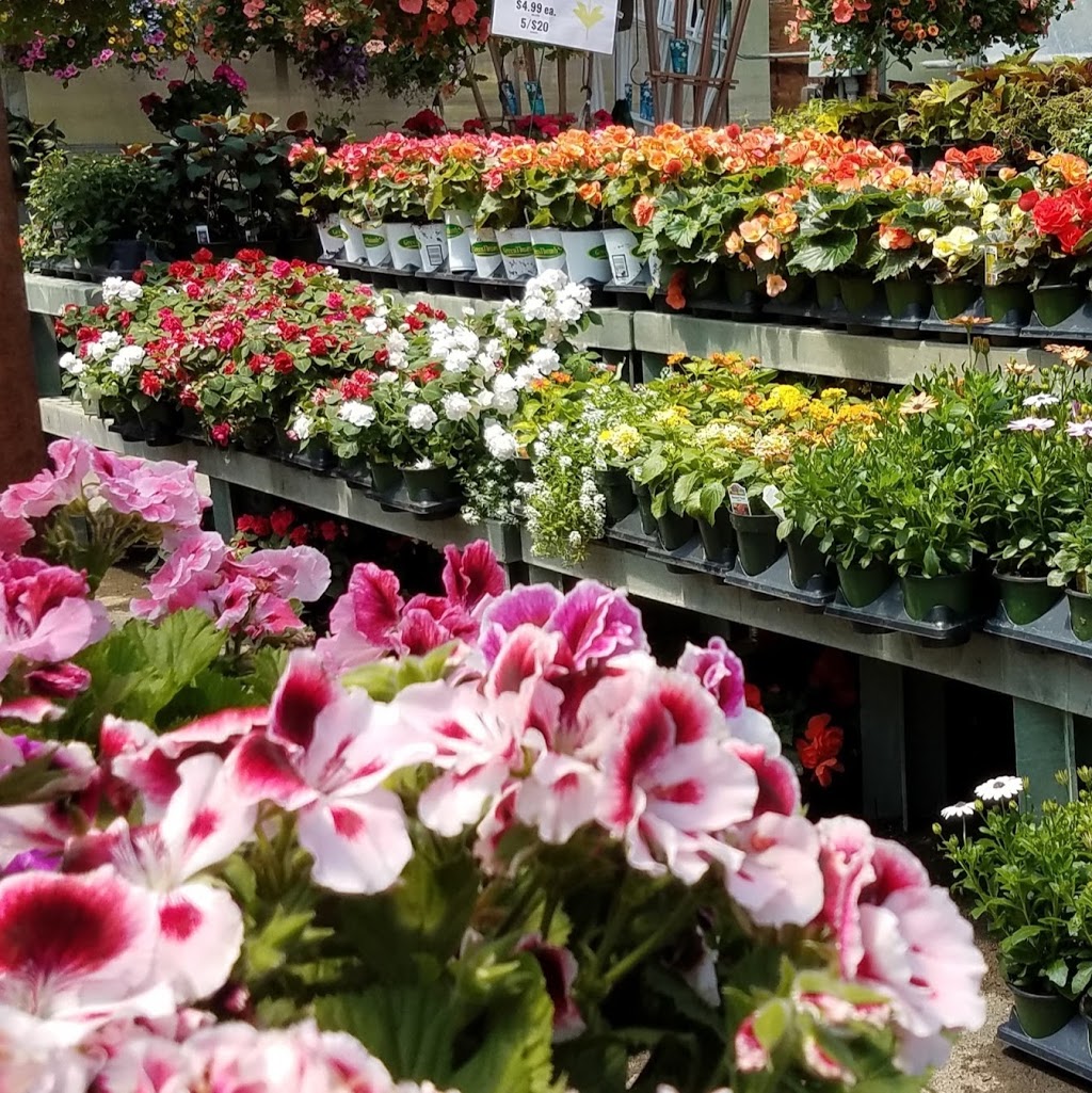 Mastersons Garden Center, Inc. | 725 Olean Rd #9781, East Aurora, NY 14052, USA | Phone: (716) 655-0133