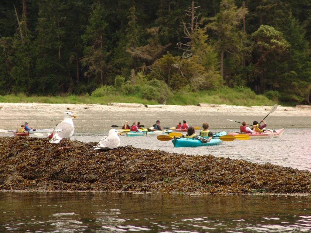 Gulf Island Kayaking | 3451 Montague Rd, Galiano Island, BC V0N 1P0, Canada | Phone: (250) 539-2442