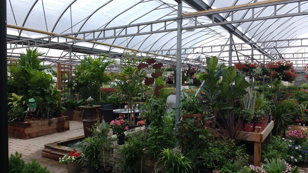 Sunshine Nursery & Greenhouse | 824 Main St Unit A, Steinbach, MB R5G 2H4, Canada | Phone: (204) 326-9053