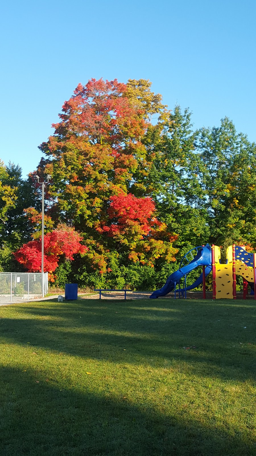 Silver Pines Parkette | 101 Stave Crescent, Richmond Hill, ON L4C 9J2, Canada | Phone: (905) 771-8870