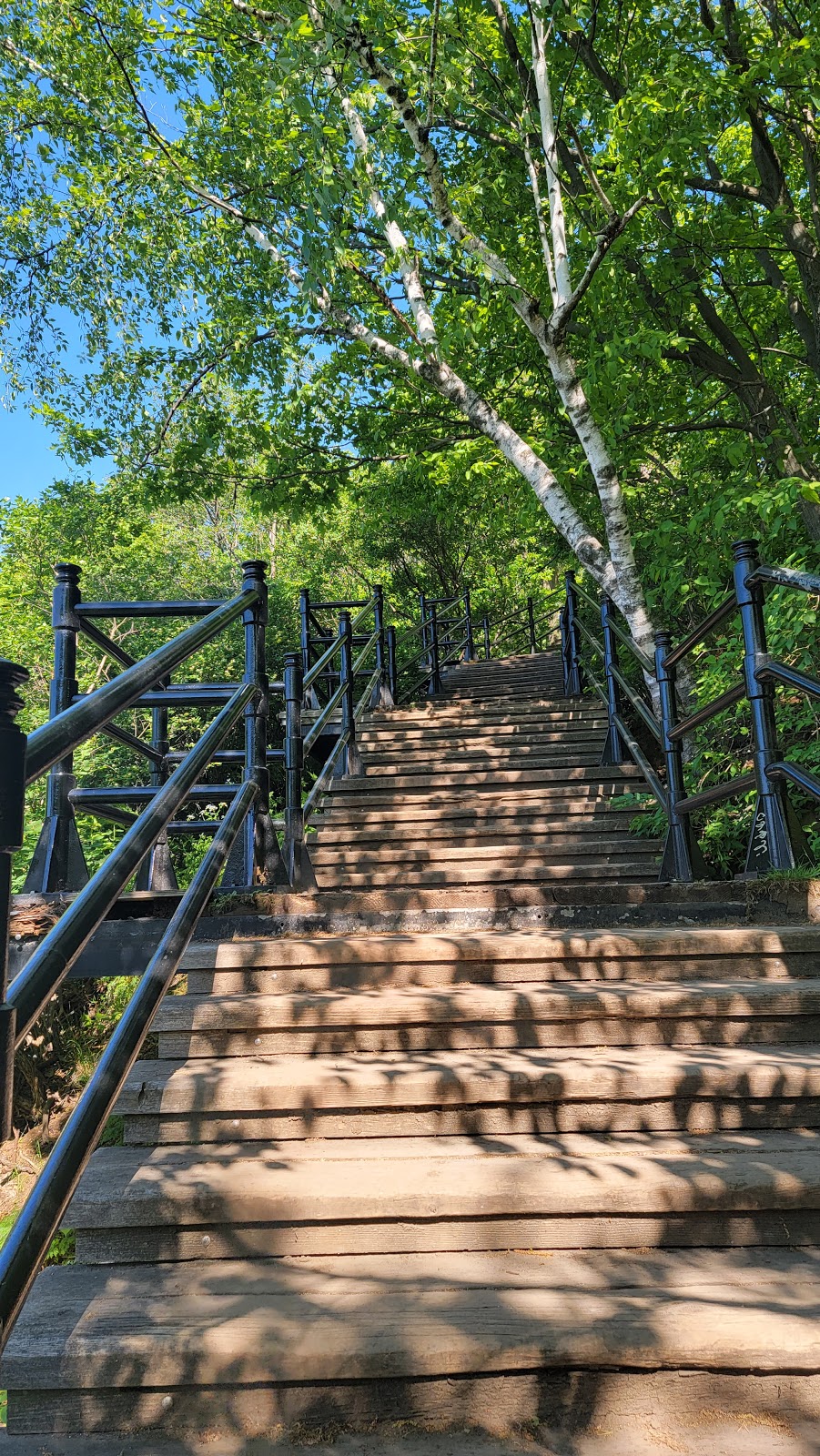 Belvédère Camillien-Houde | Voie Camillien-Houde, Mont-Royal, QC H3R 1K2, Canada | Phone: (514) 872-0311