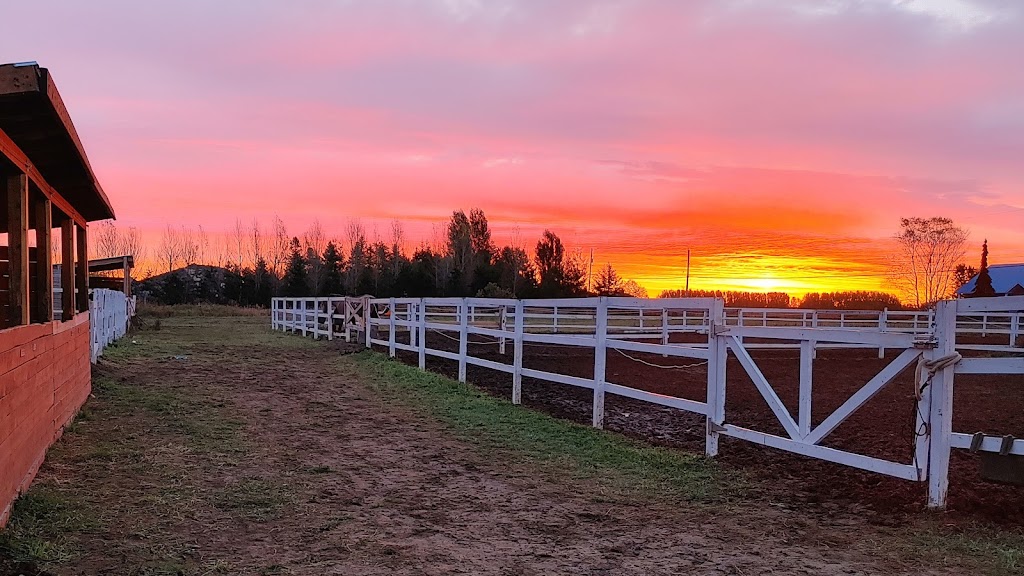 Ferme Quantum | 5868 Chemin St Isidore, Laterrière, QC G7N 1M4, Canada | Phone: (418) 540-0726