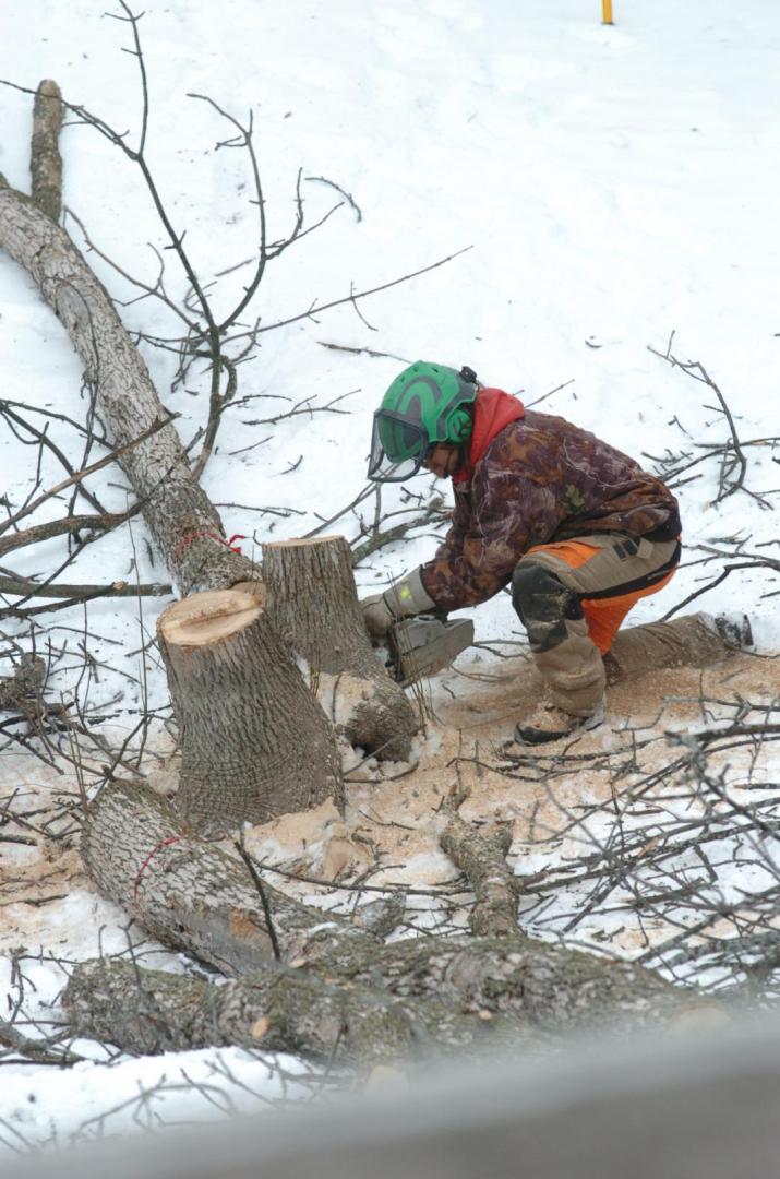 Arboriculture Arbo-Scape | 692 Rue Claudia, Laval, QC H7P 2X8, Canada | Phone: (438) 300-9648