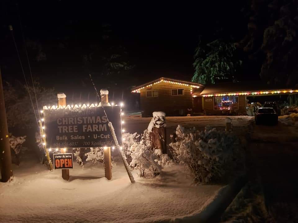 Stewarts Christmas Tree Farm | 700 Kosikar Rd, Lindell Beach, BC V2R 4X7, Canada | Phone: (604) 858-6037