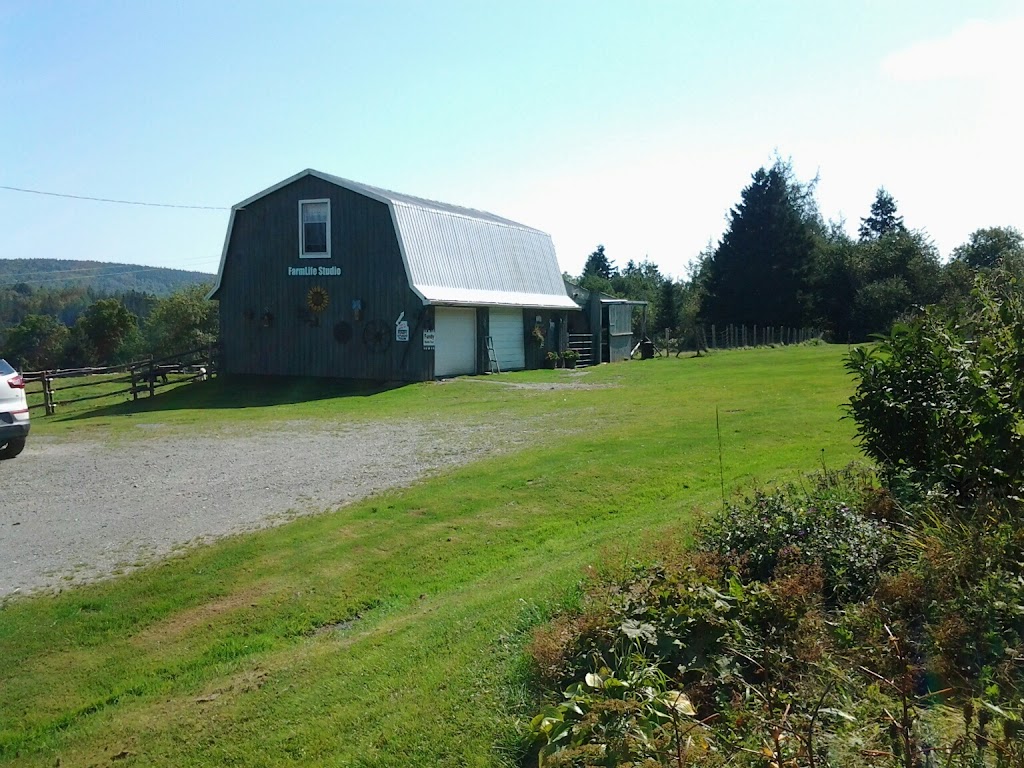 Farm Life Studio and B&B | 474 Albert Mines Rd, Albert Mines, NB E4H 1S5, Canada | Phone: (506) 734-3493