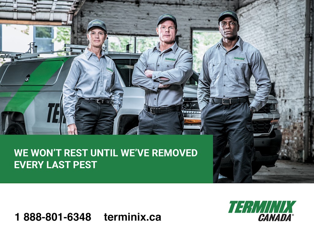 Terminix Canada Pest Control Ottawa | 199 Colonnade Rd, Nepean, ON K2E 7K3, Canada | Phone: (613) 576-4035