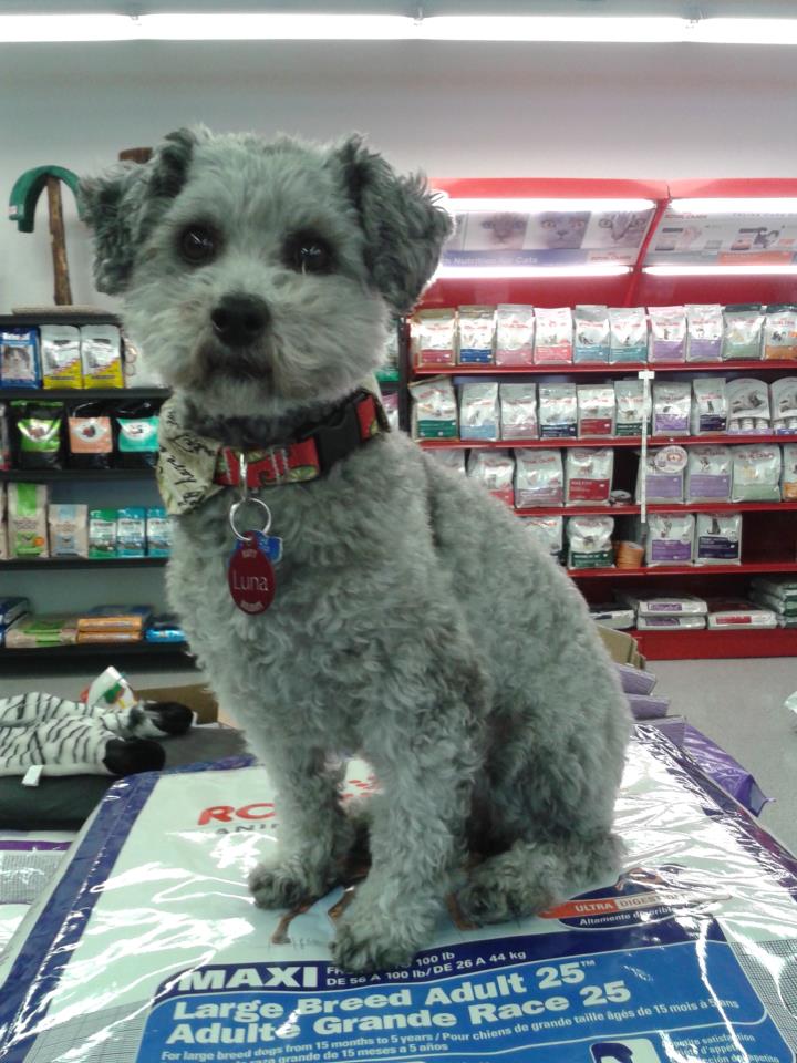 Walden Pet Food Plus | 125 Regional Rd 24, Lively, ON P3Y 1J1, Canada | Phone: (705) 692-1714