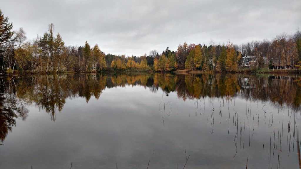 Parc du Lac des Sources | Rue de lÉcluse, Saint-Apollinaire, QC G0S 2E0, Canada