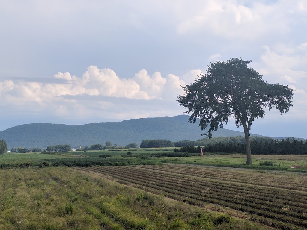 Ferme Paul Benoit | 2325 Rang de la Rivière S, Saint-Jean-Baptiste, QC J0L 2B0, Canada | Phone: (450) 464-0457