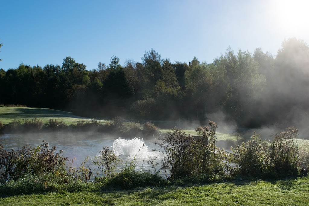 Pisciculture dArthabaska inc. | 6901 Rang Pellerin, Chesterville, QC G0P 1J0, Canada | Phone: (819) 382-2090