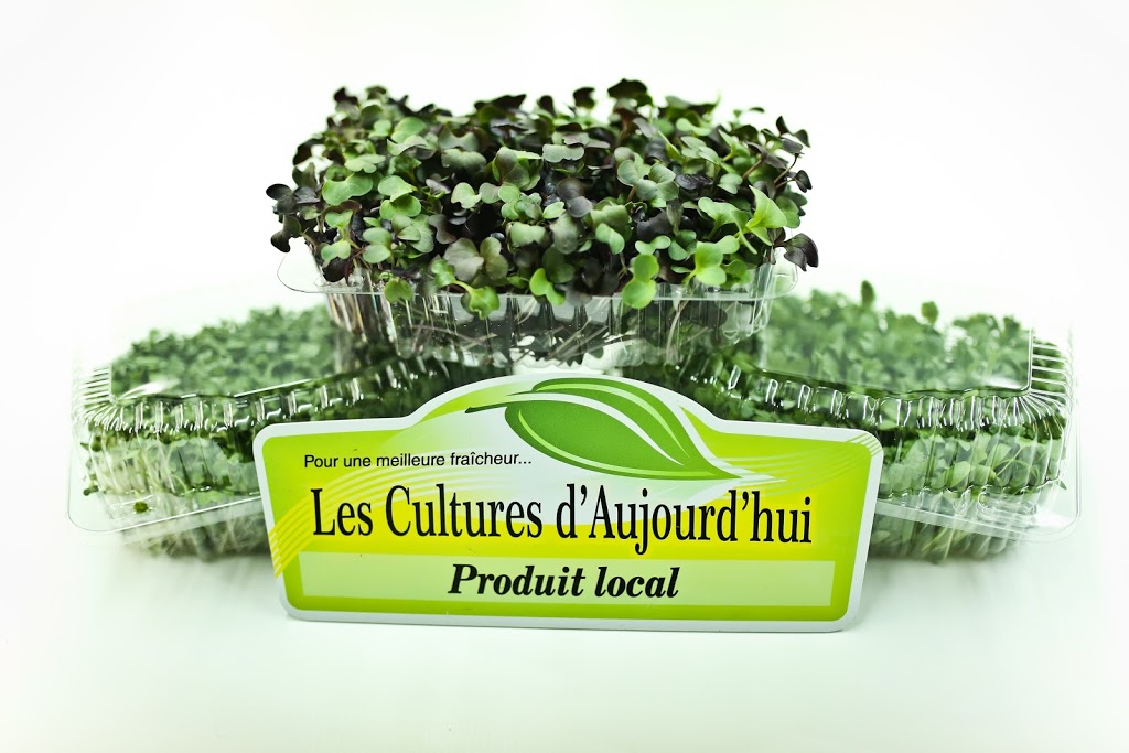 Les Cultures d’Aujourd’hui | 171b Rue de la Station, Charette, QC G0X 1E0, Canada | Phone: (819) 913-1555