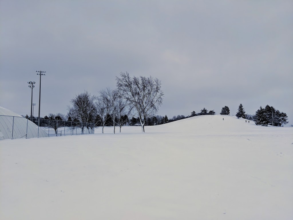 Tobaggoning Hill on Municipal Street In Guelph | near Centennial Park on, Municipal St, Guelph, ON N1G 4P9, Canada