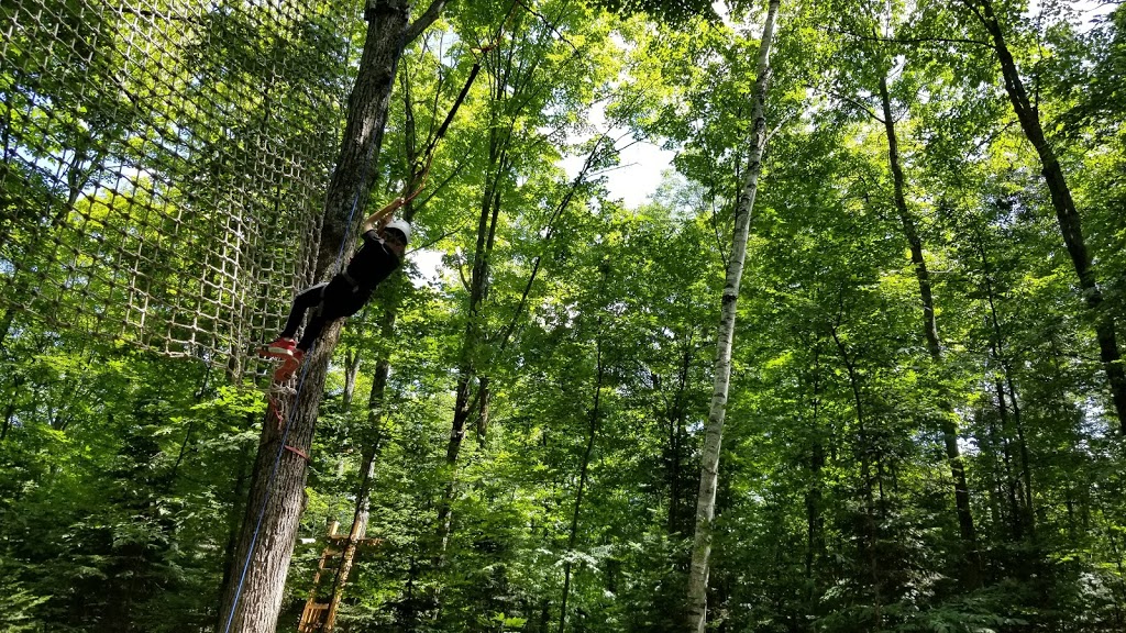 Treetop Trekking Huntsville | 1180 ON-60, Huntsville, ON P1H 1A9, Canada | Phone: (855) 788-9009