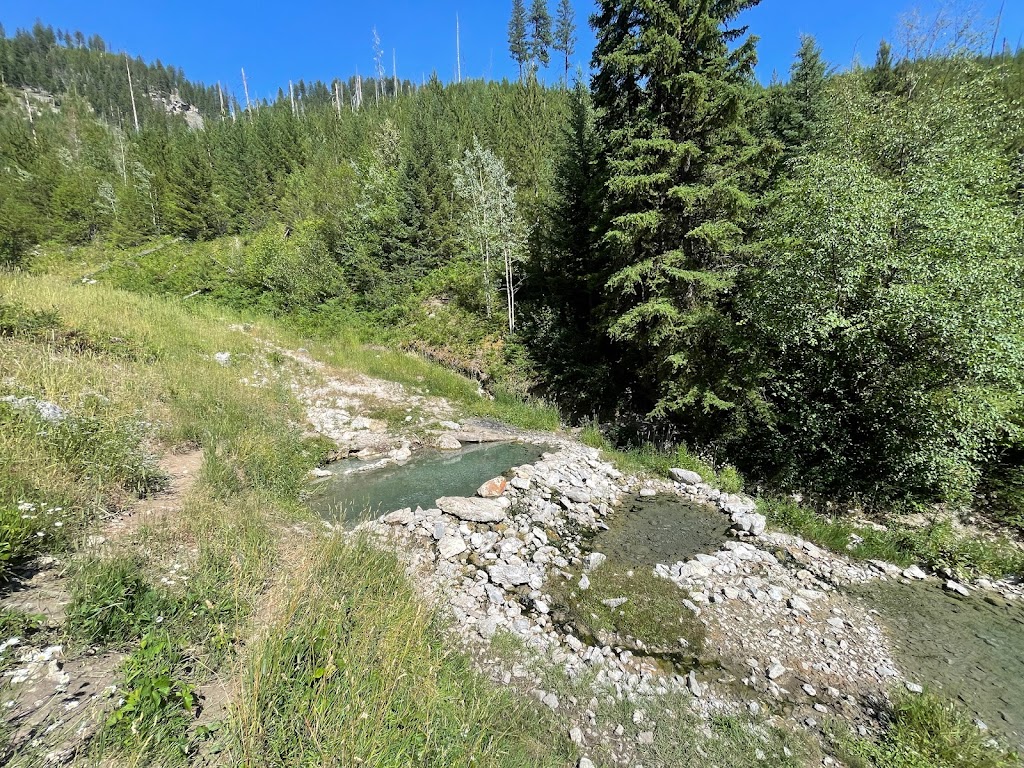 Ram Creek Hot Springs | White Ram Forest Service Rd, East Kootenay, BC V0B 2E0, Canada | Phone: (604) 265-2876