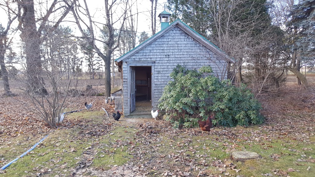 Pépinière Luc B Auclair | 2480 Rang de la Rivière N, Saint-Jean-Baptiste, QC J0L 2B0, Canada | Phone: (450) 464-0330