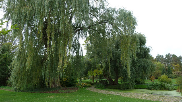 Willow Pond | Botanical Gardens, 2565 Niagara Pkwy, Niagara Falls, ON L2E 2S7, Canada | Phone: (905) 356-2217