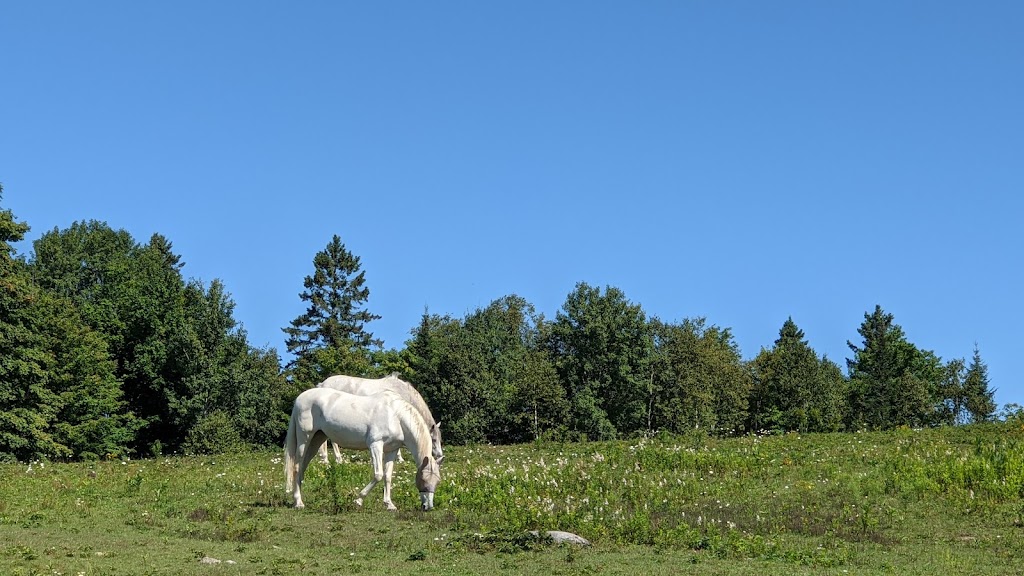 La Ferme Duquette | 1315 Chem. du 10 Rang, Val-David, QC J0T 2N0, Canada | Phone: (819) 322-3829