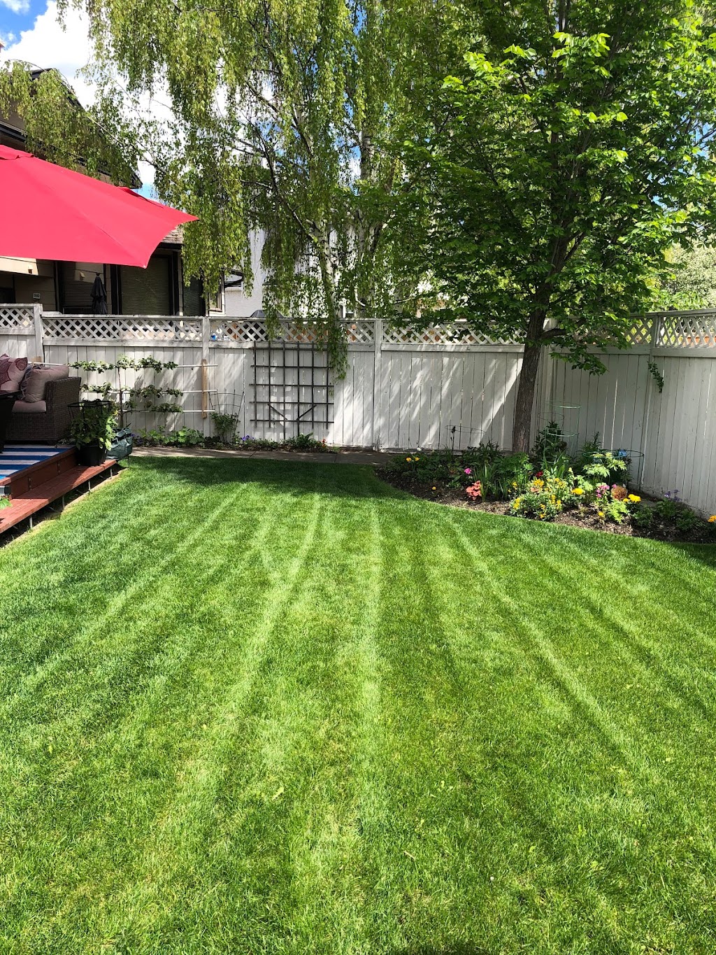 Buzz Lawn Care | 216 Sun Valley Dr SE, Calgary, AB T2X 2E8, Canada | Phone: (587) 892-4171