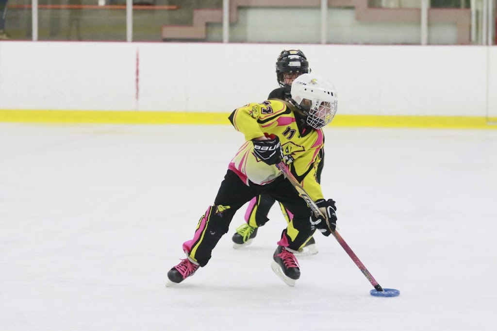 Moncton Ringette Association | 55 Russ Howard Dr, Moncton, NB E1C 0L7, Canada | Phone: (506) 378-4106