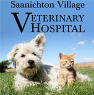 Saanichton Village Veterinary Hospital - Vet serving Sidney , Br | 7816 E Saanich Rd, Saanichton, BC V8M 2B4, Canada | Phone: (778) 351-3030