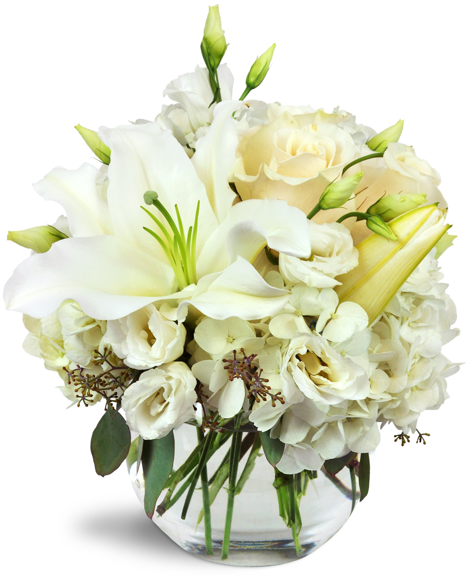 Muskoka Flowers | 2876 ON-60 Unit #2, Dwight, ON P0A 1H0, Canada | Phone: (705) 635-1696