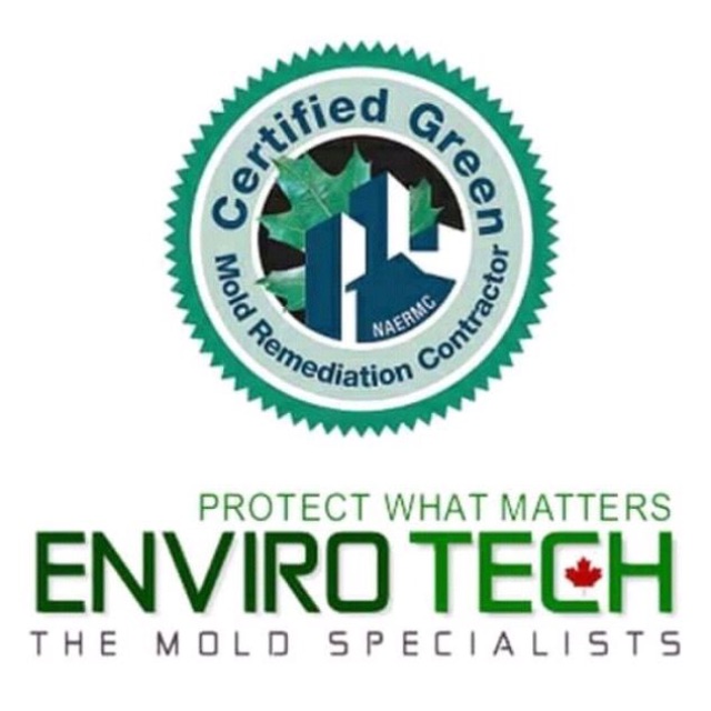 EnviroTech Mold Remediation | 698 Bethune St, Peterborough, ON K9H 4A4, Canada | Phone: (705) 313-6321