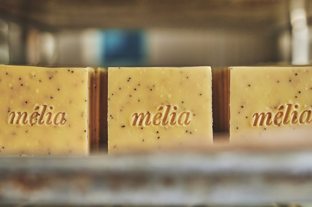 Mélia - Cosmétiques et savons | 111 Rang 2 de Gravel, Ferme-Neuve, QC J0W 1C0, Canada | Phone: (819) 587-4825