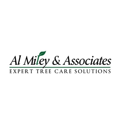 Al Miley Tree Removal | 55 Village Centre Pl, Mississauga, ON L4Z 1V9, Canada | Phone: (416) 749-3723