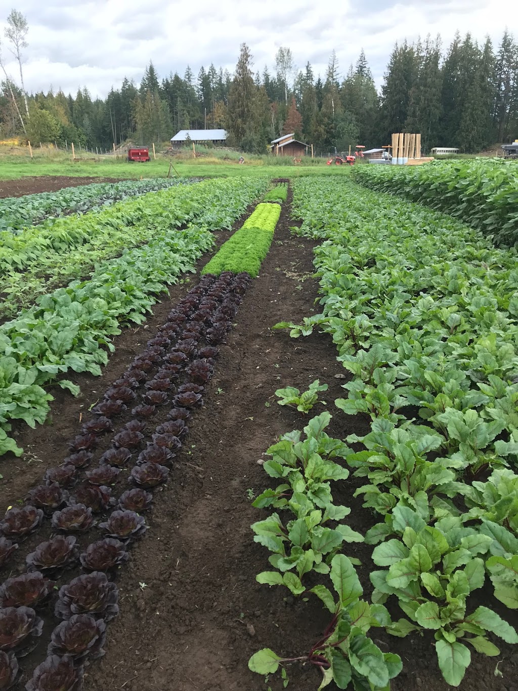 Terra Firma Farms | 1315 BC-23, British Columbia V0E 2S0, Canada | Phone: (250) 837-8174