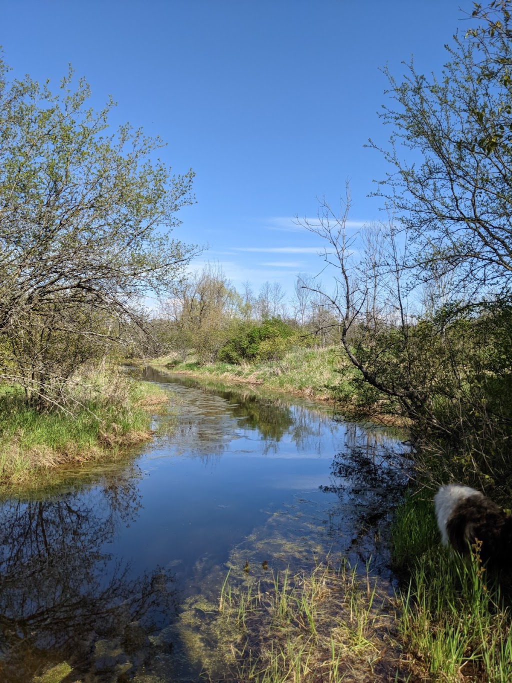 Out to Play Farm and Forest School | Davidsons Side Road, Ottawa, ON K2K 2Z4, Canada | Phone: (819) 318-0759