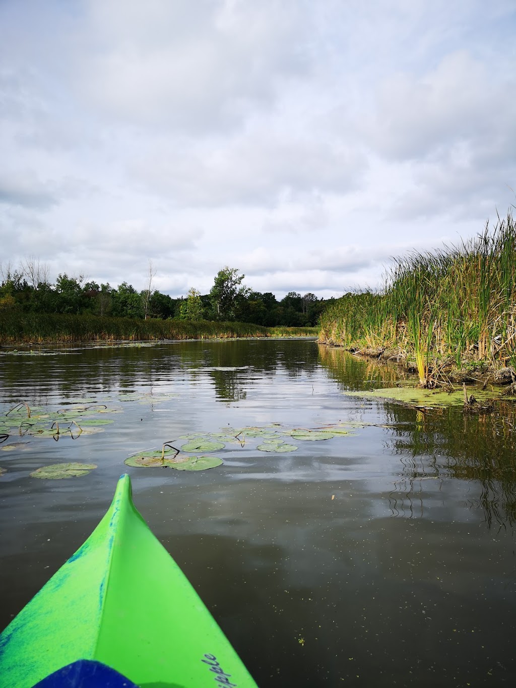 Niagara Rowing School | 4579 Twenty-First St, Vineland, ON L0R 2C0, Canada | Phone: (289) 969-4394