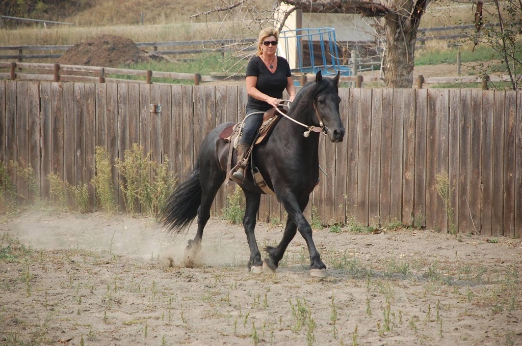 Turning Point Farm | 864 Corkscrew Rd, Armstrong, BC V0E 1B5, Canada | Phone: (250) 546-2477