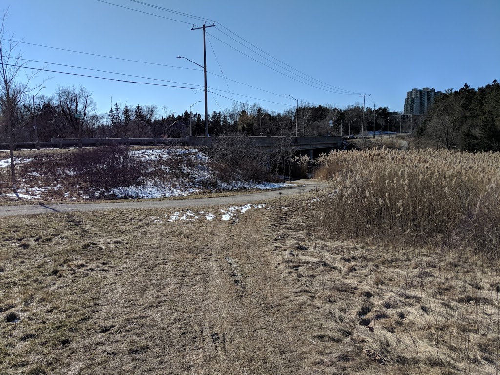 Marguerite Ormston Trailway on the Walter Bean Grand River Trail | 2200 Homer Watson Blvd, Kitchener, ON N2P 1A5, Canada | Phone: (519) 741-2345